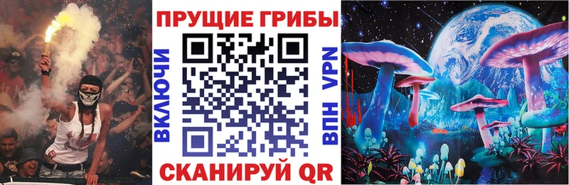 Купить где  Ахтубинск  Псилоцибиновые грибы Magic Shrooms 